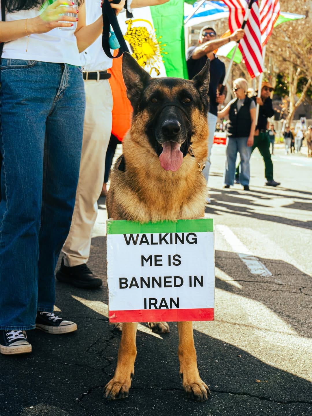 Real Iranian Protests in Los Angeles 2026 against the regime.