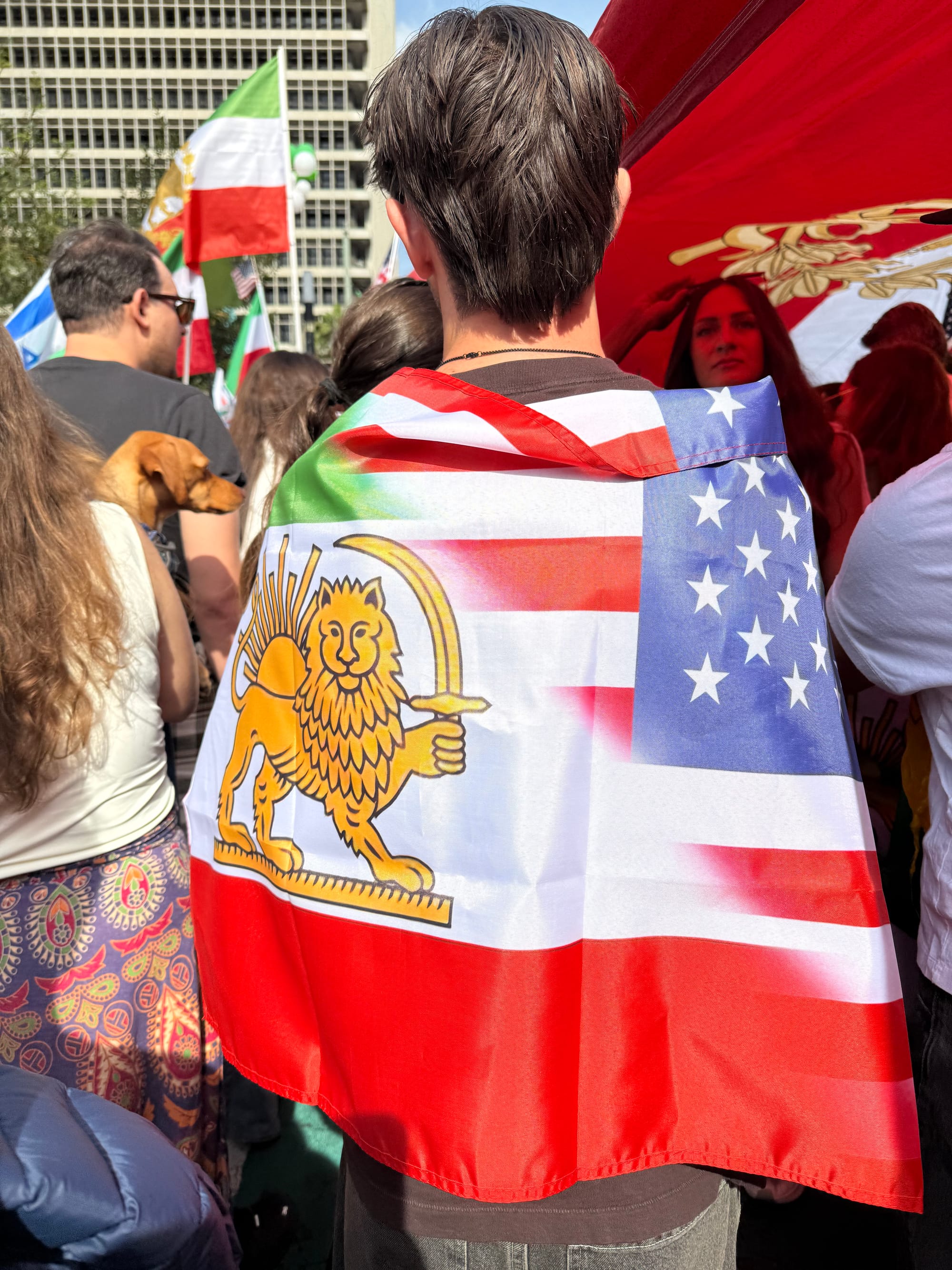 Real Iranian Protests in Los Angeles 2026 against the regime.