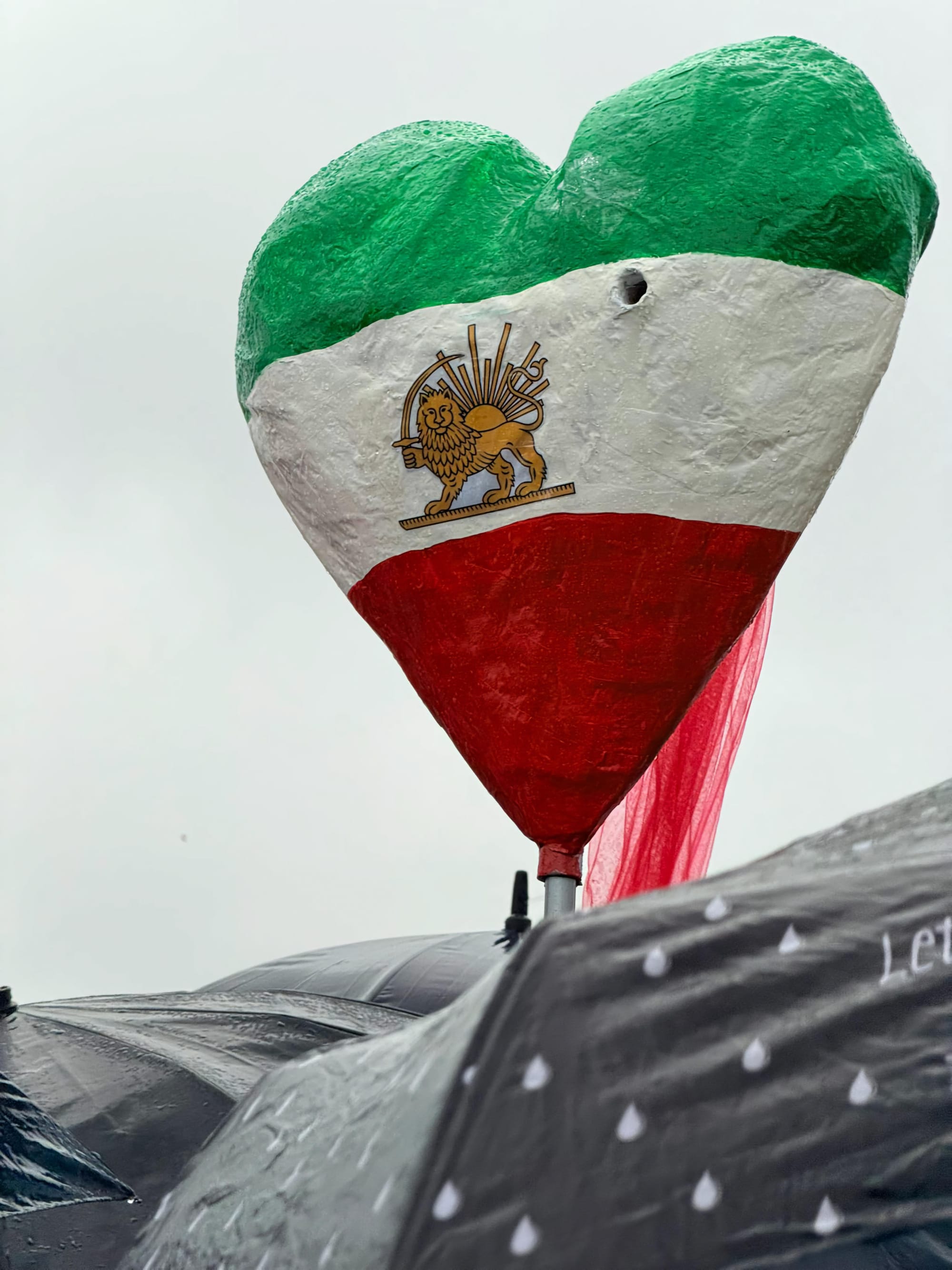 Real Iranian Protests in Munich 2026 against the regime.